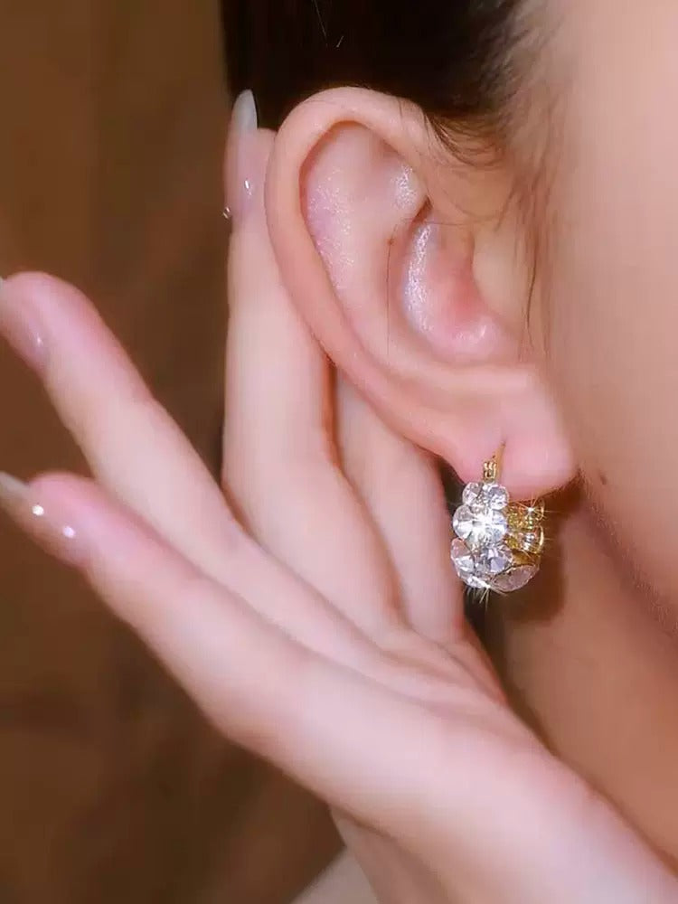 Super shiny zircon earrings